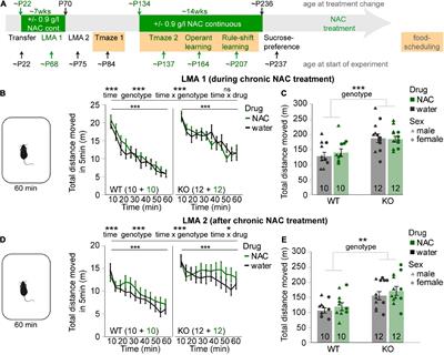 Chronic N-acetylcysteine treatment improves anhedonia and cognition in a mouse model of the schizophrenia prodrome